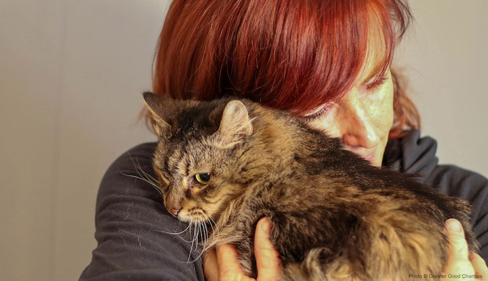 No One Left Behind: How Pet-Friendly Shelters Help Abuse Survivors Heal