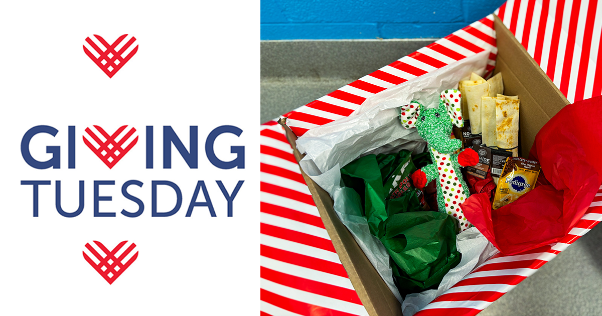 GivingTuesday: Gifts that Make a Difference