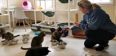 Betsy-J-with-Brahms-and-Carmela-high-five.jpg