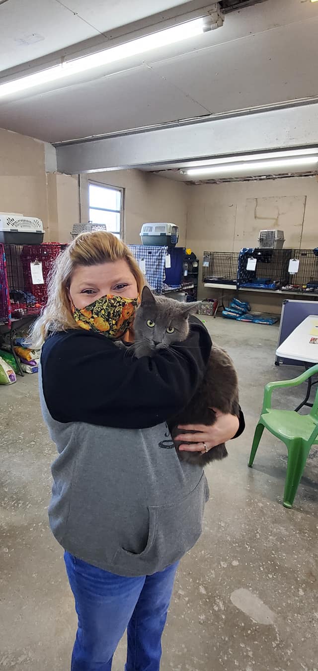 Superstar Cats Shine at Humane Society of Parkersburg