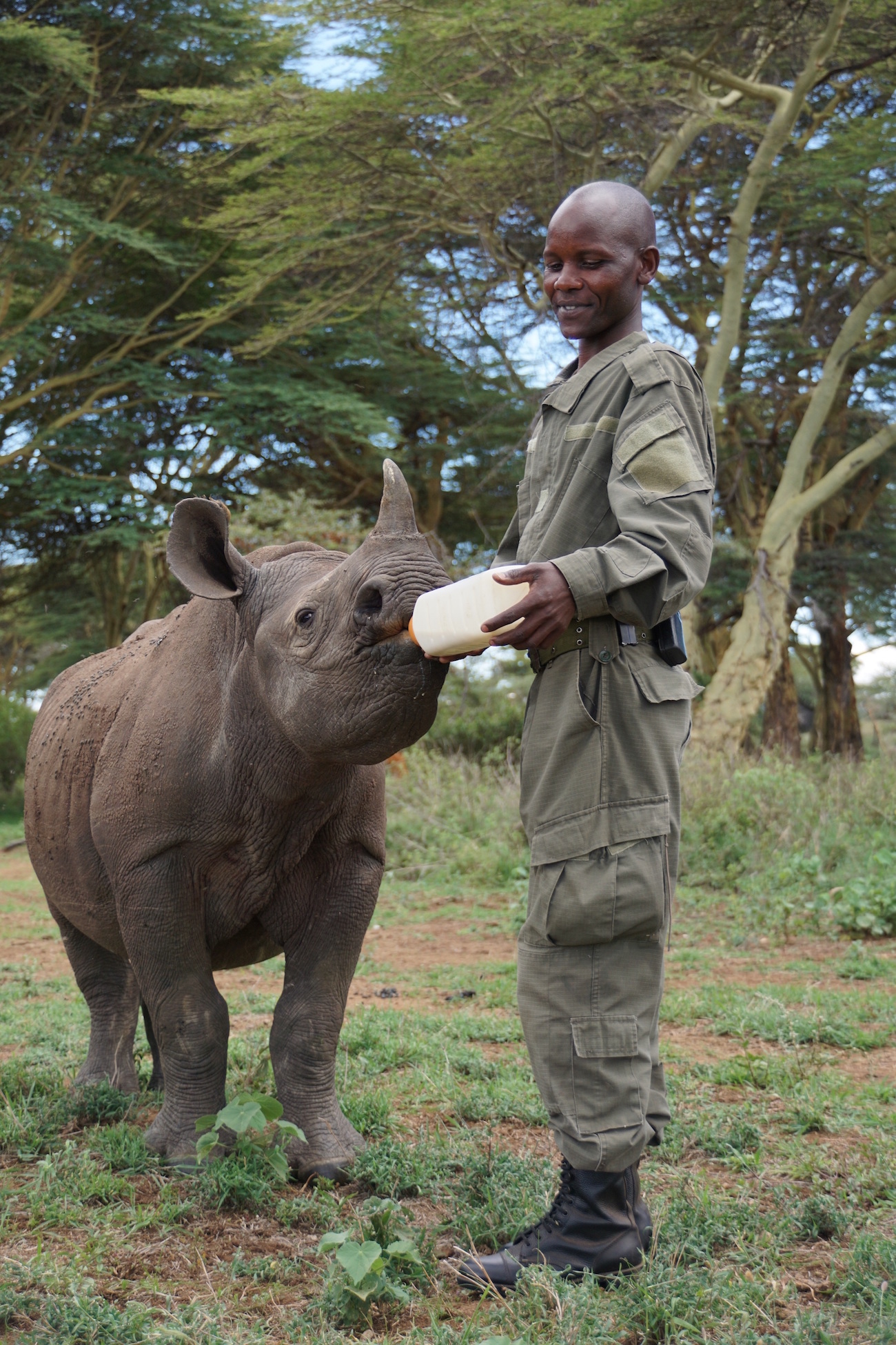 Thank YOU for Providing Three Black Rhinos With Emergency Medical Care!