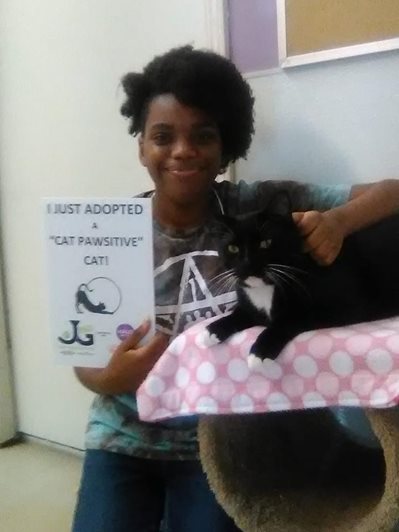Rocky-Adoption-Town-Cats-9-22-18.jpg