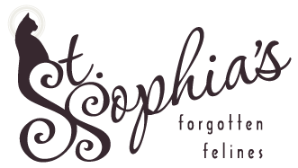 St. Sophia’s Forgotten Felines Joins Cat Pawsitive Pro