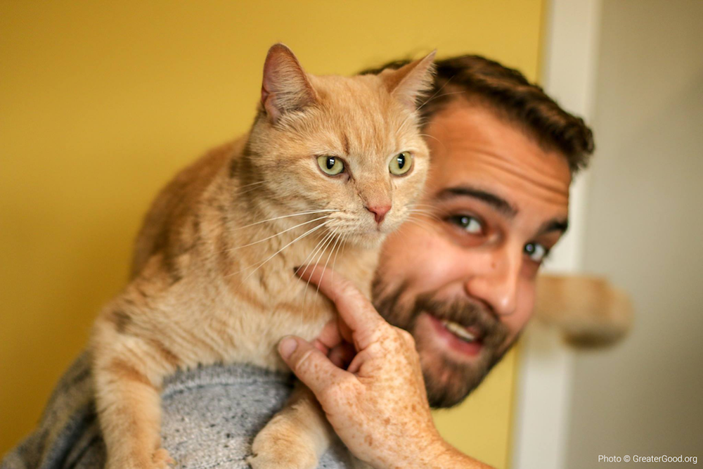 alt="pets cat with foster human"
