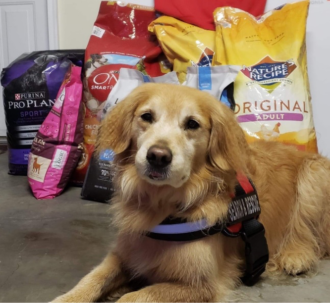 A blonde dog sits in front of multiple bags of dog food donated by PetSmart Charities.