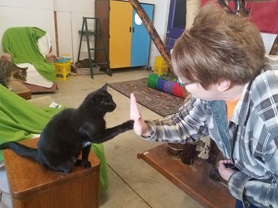 felix-high-five-with-deb-(1).jpg