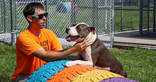 Improving the Lives and Adoption Rates of Shelter Animals in Bowling Green
