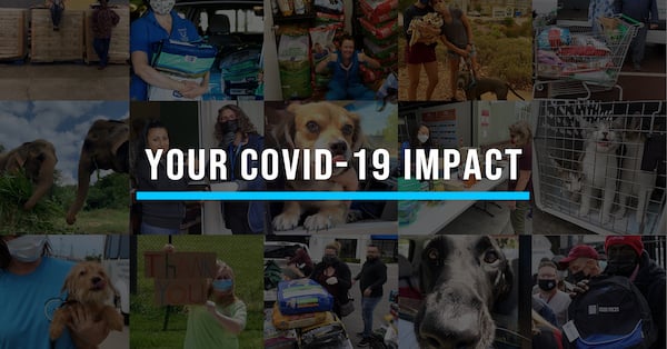 Your COVID-19 Impact: How Your Donations Helped Pets, People, and the Planet