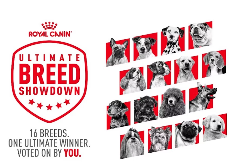 Royal Canin Ultimate Breed Showdown