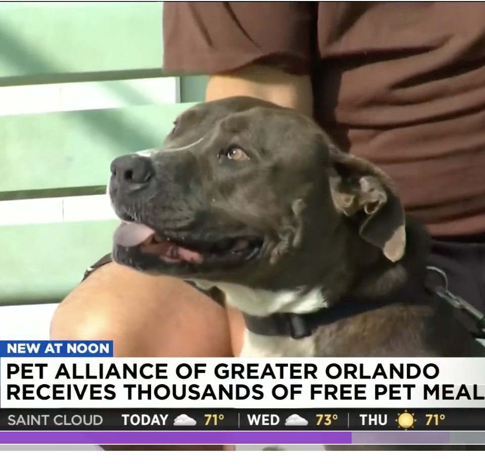 Pet Alliance of Greater Orlando receives thousands of pounds of free pet food