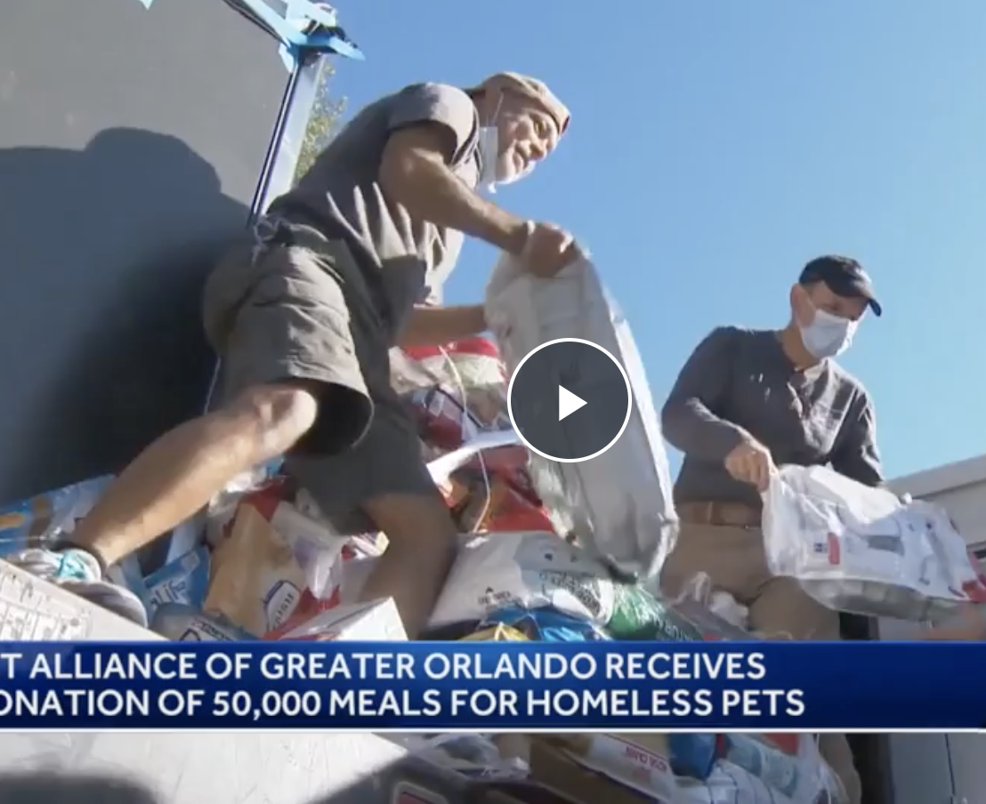 Pet Alliance of Greater Orlando receives 50,000 meals for homeless pets