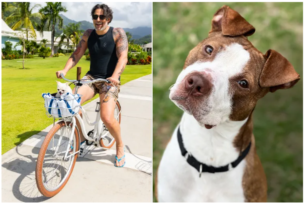 Joe Manganiello Is Working to Save Thousands of Shelter Pets and Wants You to Join Him