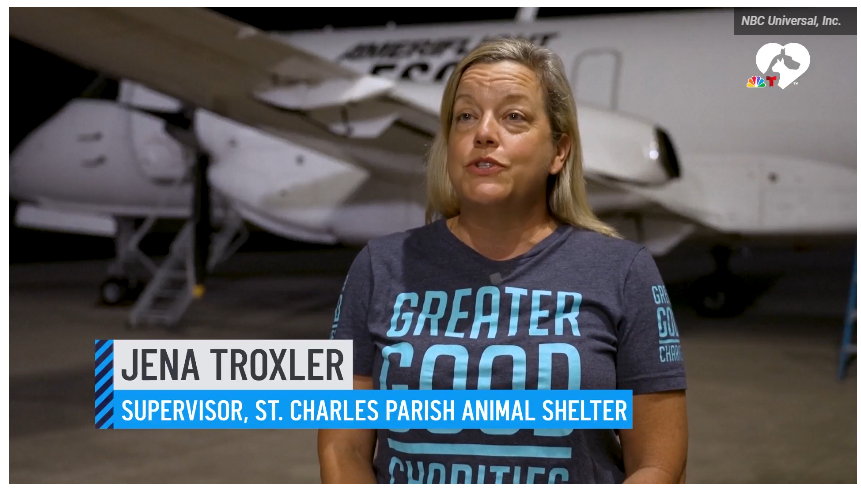 Clear The Shelters airlift rescues 60 at-risk dogs, cats from strained shelters