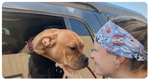 Over 1,000 pets spayed and neutered during ‘Big Fix’ event