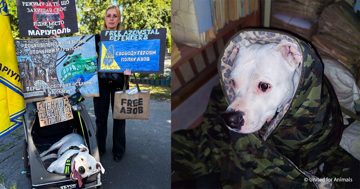 From Captivity to Safety: Adik’s Story