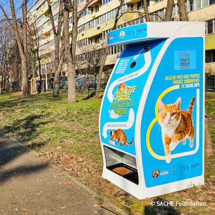 VS-Photograph_20250116_DRI_Romania_CatFoodDispensers_007_©SACHEFoundation