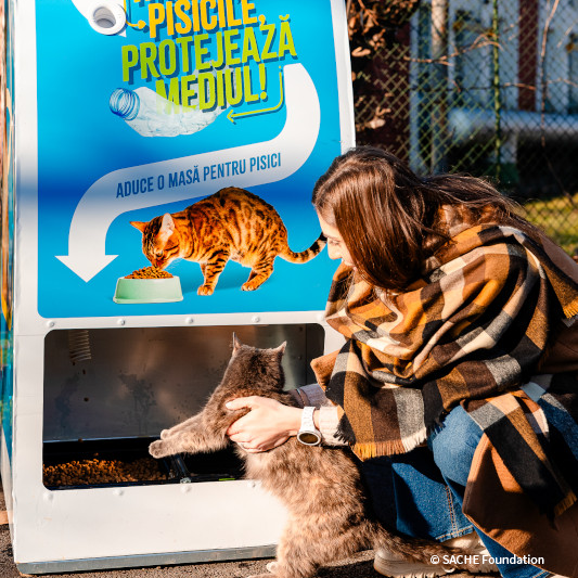 VS-Photograph_20250117_DRI_Romania_CatFoodDispensers_005_©SACHEFoundation