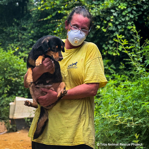 VS-Photograph_20250609_EAM_TARP_Hoarding_002_©TroyAnimalRescueProject VS-Photograph_20250609_EAM_TARP_Hoarding_002_©TroyAnimalRescueProject