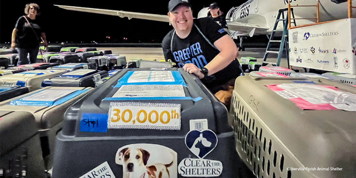 11 Years Strong: How Clear the Shelters Transforms Lives