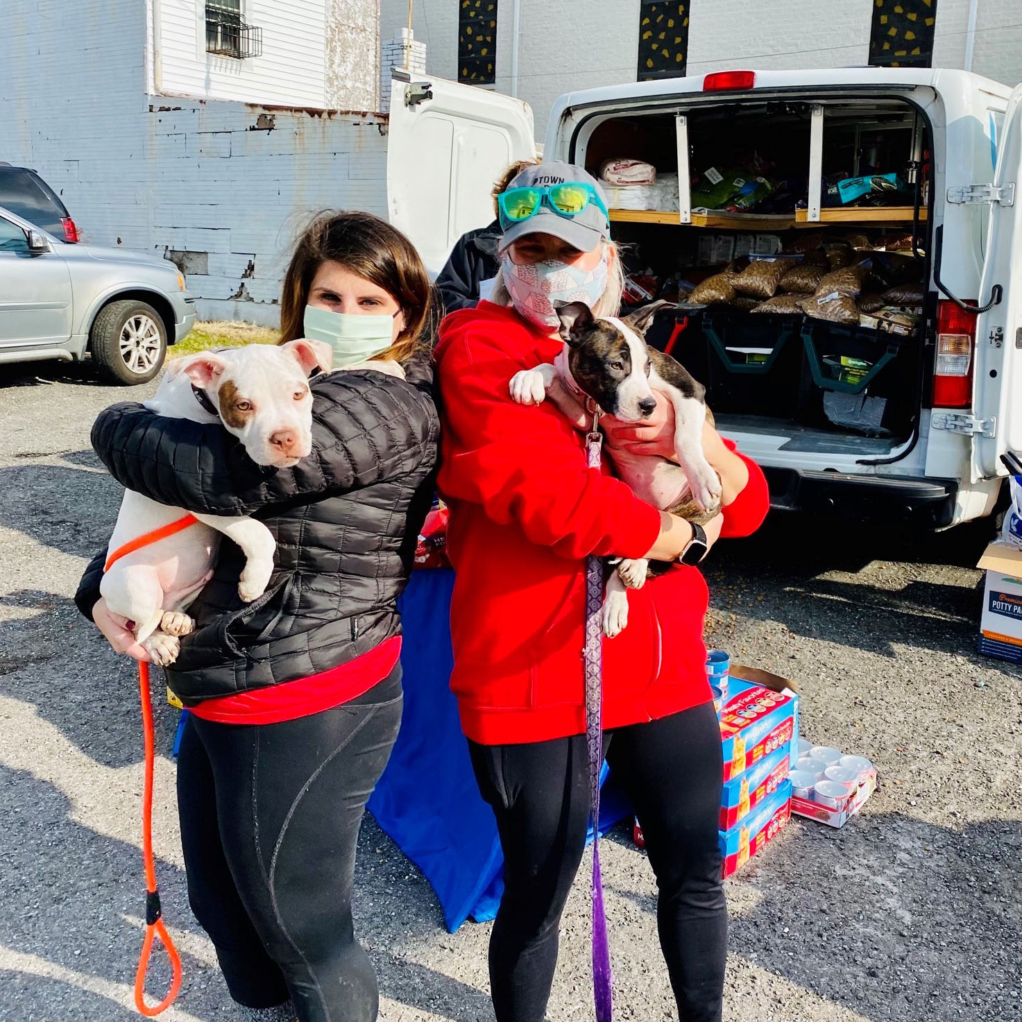 Volunteers with Dogs at Pet Pantry 1 (9 Lives, Hills Science Diet, and More Brands)_©Lisa Damiano-Humane Rescue Alliance_RB Coronavirus Relief