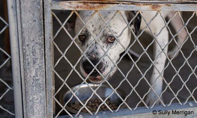 ad996d96-8186-47da-a36c-51eba39bd404