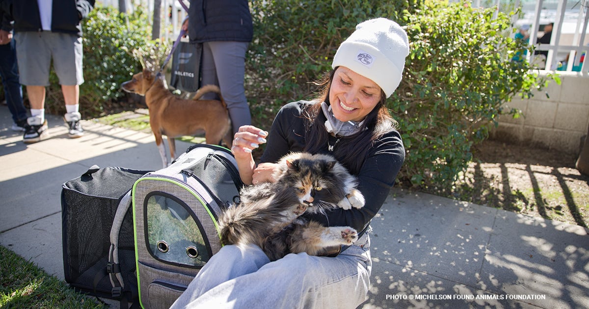 Addressing the Pet Care Crisis: Supporting Families & Strengthening Animal Shelters