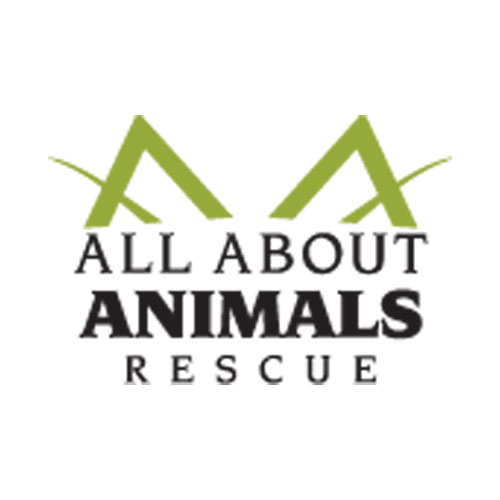 Congratulations to the four winners of shelter pets day 