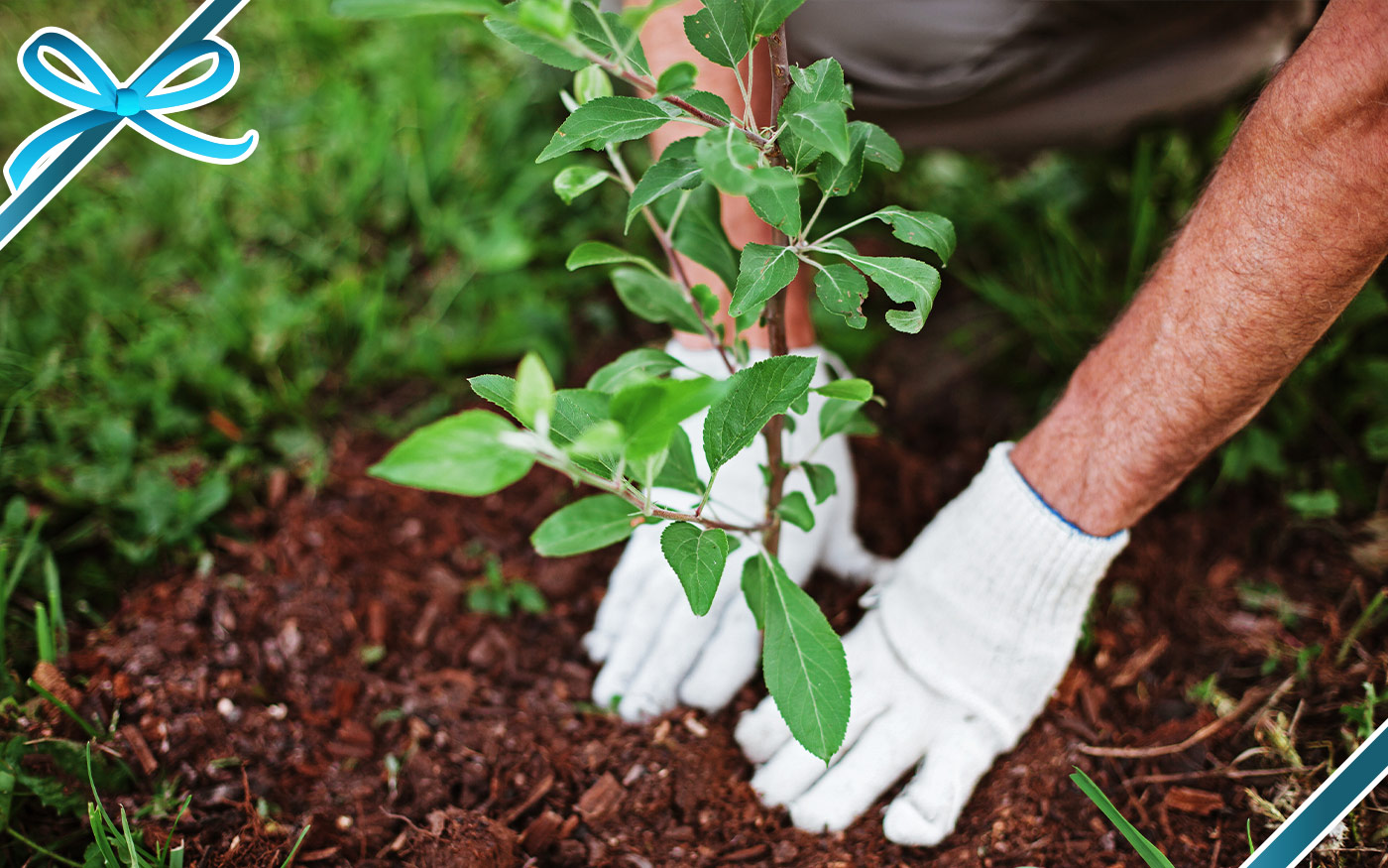 6 Gift Ideas to Help Save Our Planet!🎄