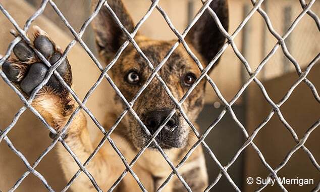 cc29f43a-2c04-4138-9838-ea59bd18b181