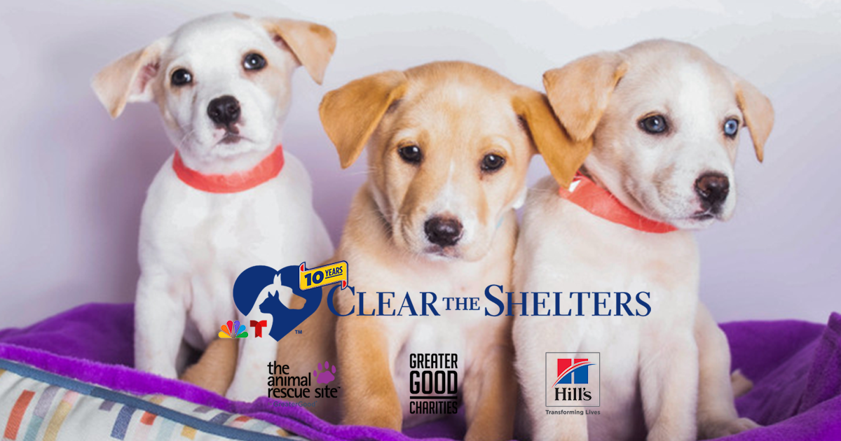 clear-the-shelters-blog-featured