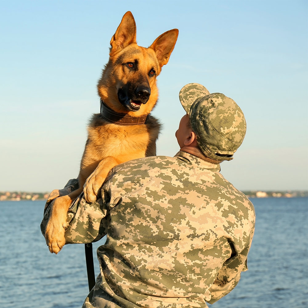 dogs-for-vets-1