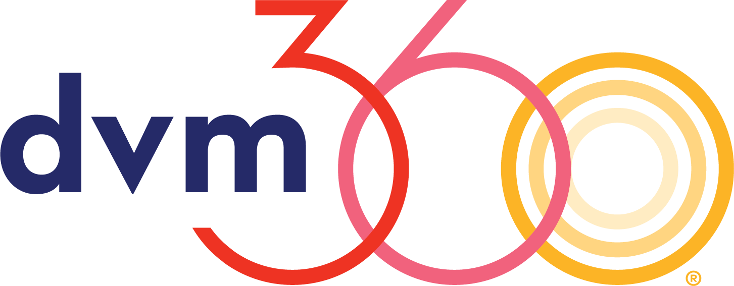 dvm_360-Logo