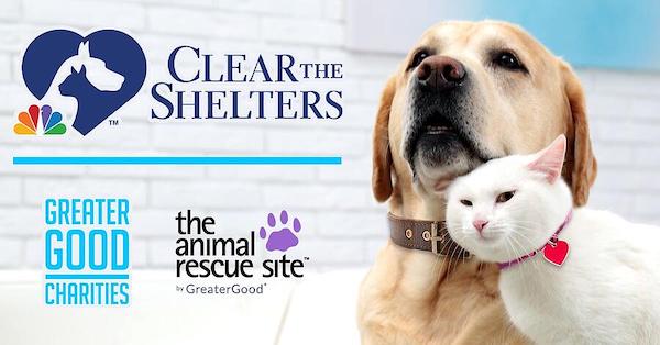 Clear the Shelters 2021 Provides Critical Help to 200+ Shelters
