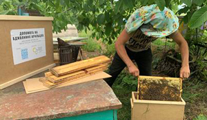 Support to Beekeepers in Ukraine Provides Chance to Rebuild