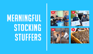 Meaningful Stocking Stuffers: Small Gifts, Big Impact