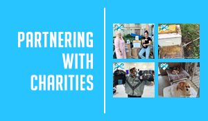 Partnering with Charities: Building Strong Relationships for Mutual Benefits