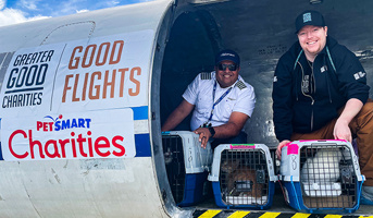 Greater Good Charities Receives $100K Grant from PetSmart Charities to Transport Pets for Adoption