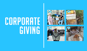 Gifts of Impact: Corporate Gifting Strategies that Support Causes