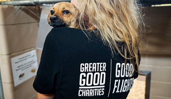 Evacuating Shelter Pets in the Aftermath of Hurricane Francine