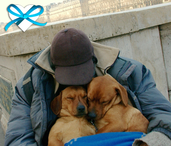 give-good-rescue-rebuild-homeless-pets-heart