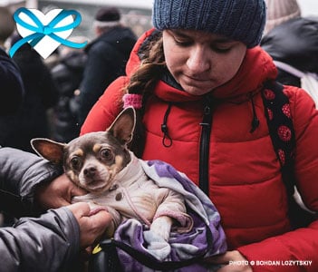 give-good-ukraine-crisis-help-people-and-pets-in-need