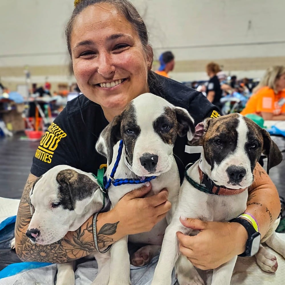 Veterinary Services Volunteer Holding 3 Puppies