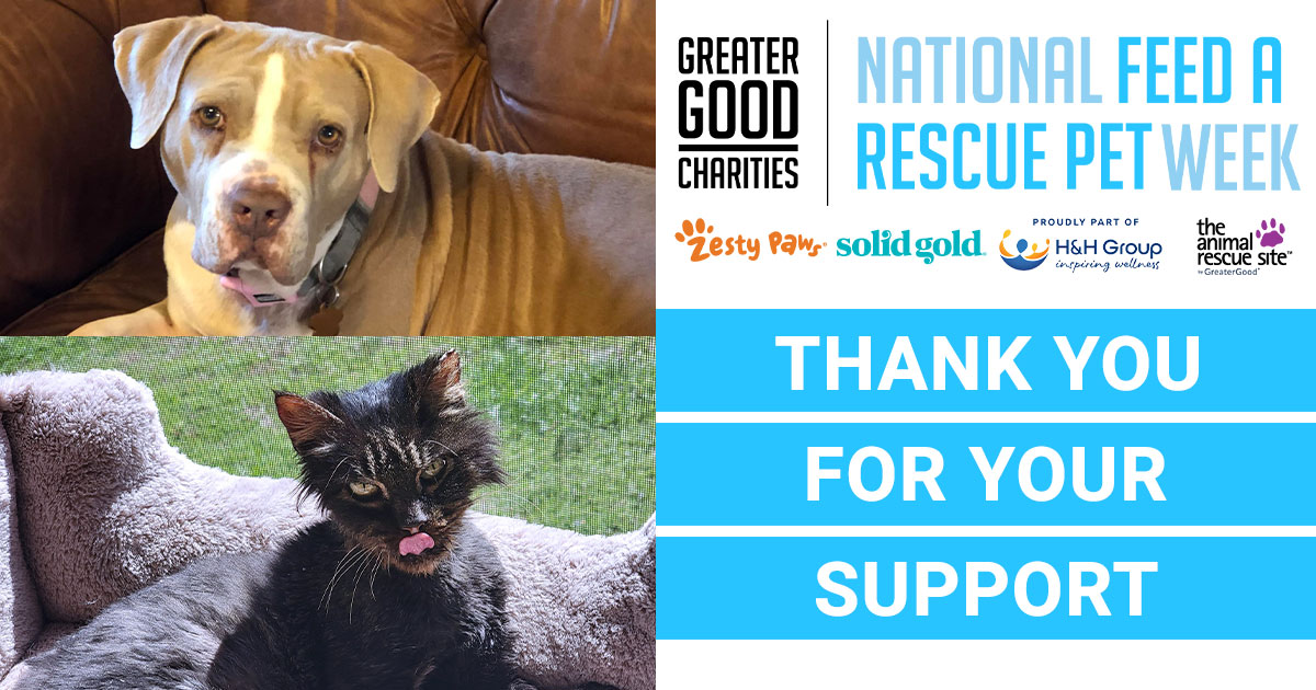 We Did It! National Feed a Rescue Pet Week was A Big Success