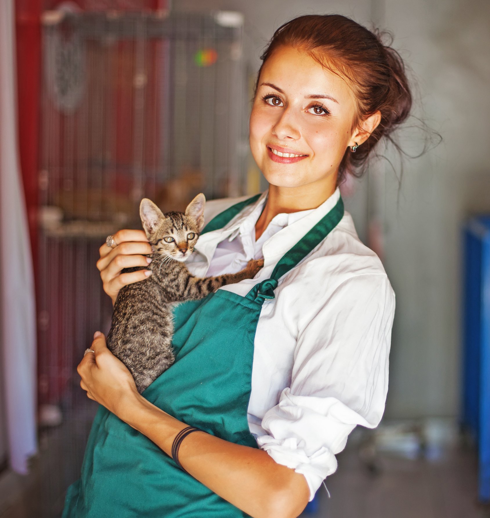 shelter-person-cat