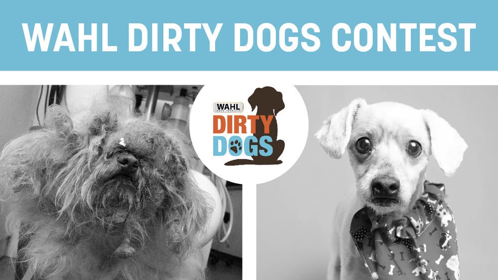top-10-dirty-dogs-2023-reveal