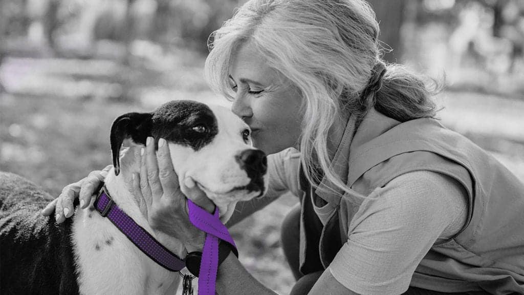 understanding-the-urgent-need-for-pet-friendly-domestic-violence-shelters